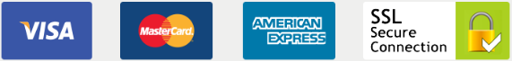 Payment Options: Visa, Mastercard, American Expression, SSL Secure Connection